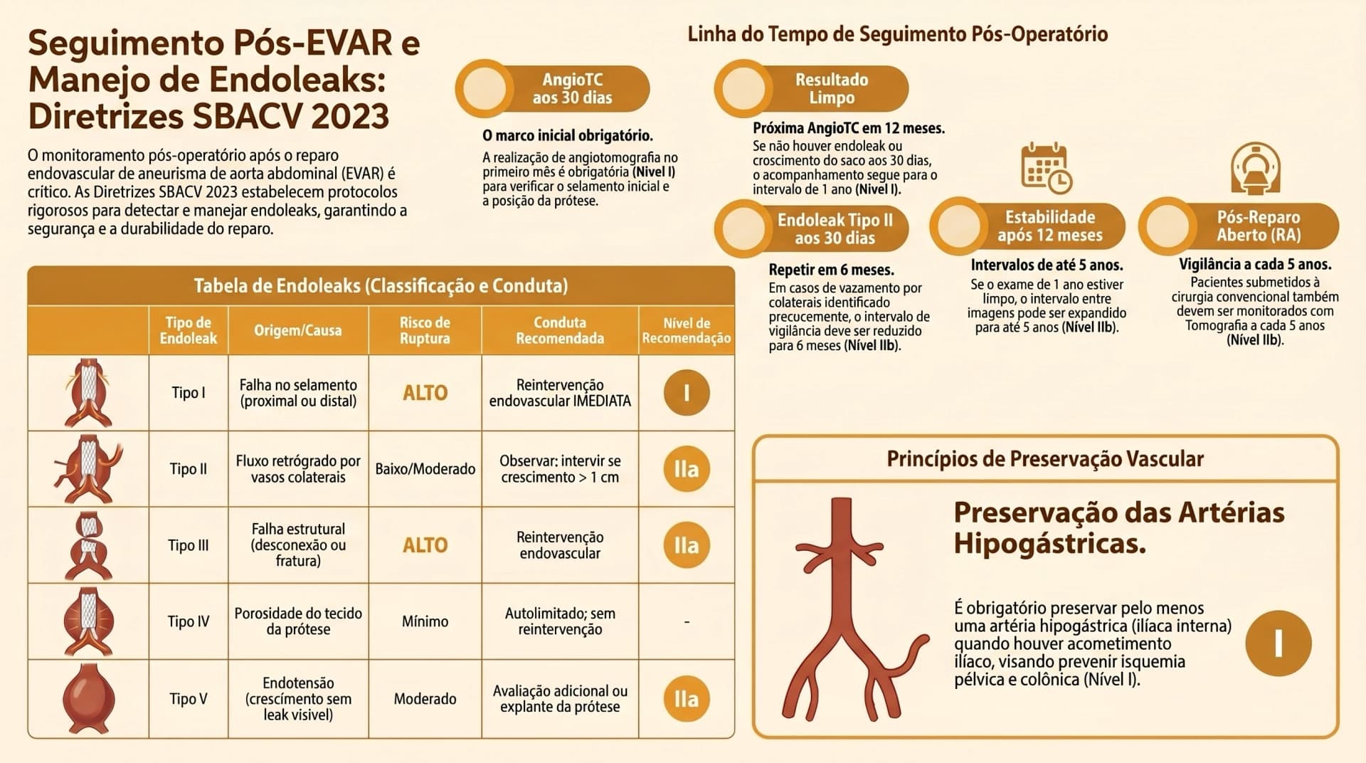 Infográfico SBACV 2023 — AAA: Seguimento Pós-operatório e Endoleaks após EVAR