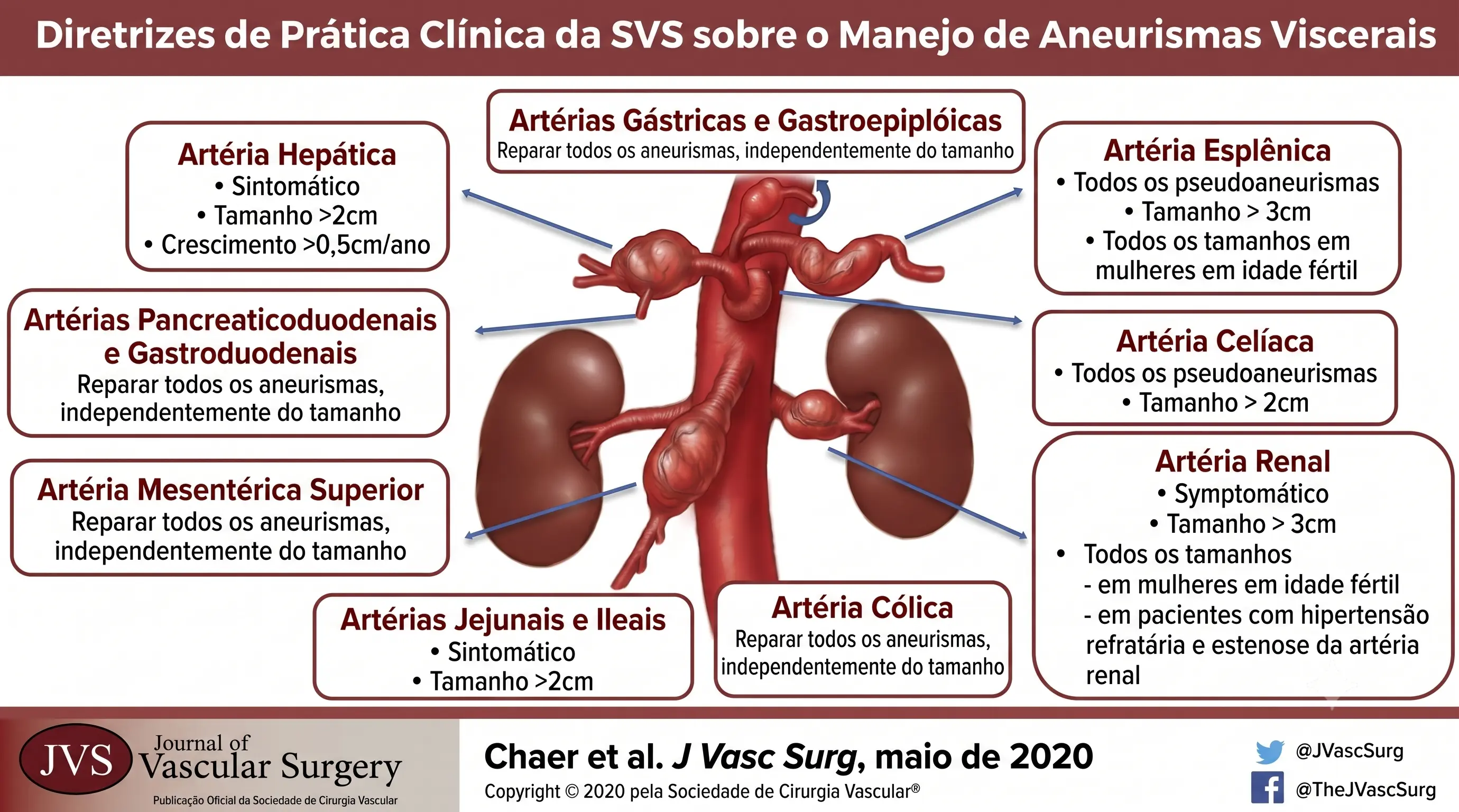 Infográfico Geral — Aneurismas Viscerais SVS 2020: classificação, epidemiologia e critérios de tratamento