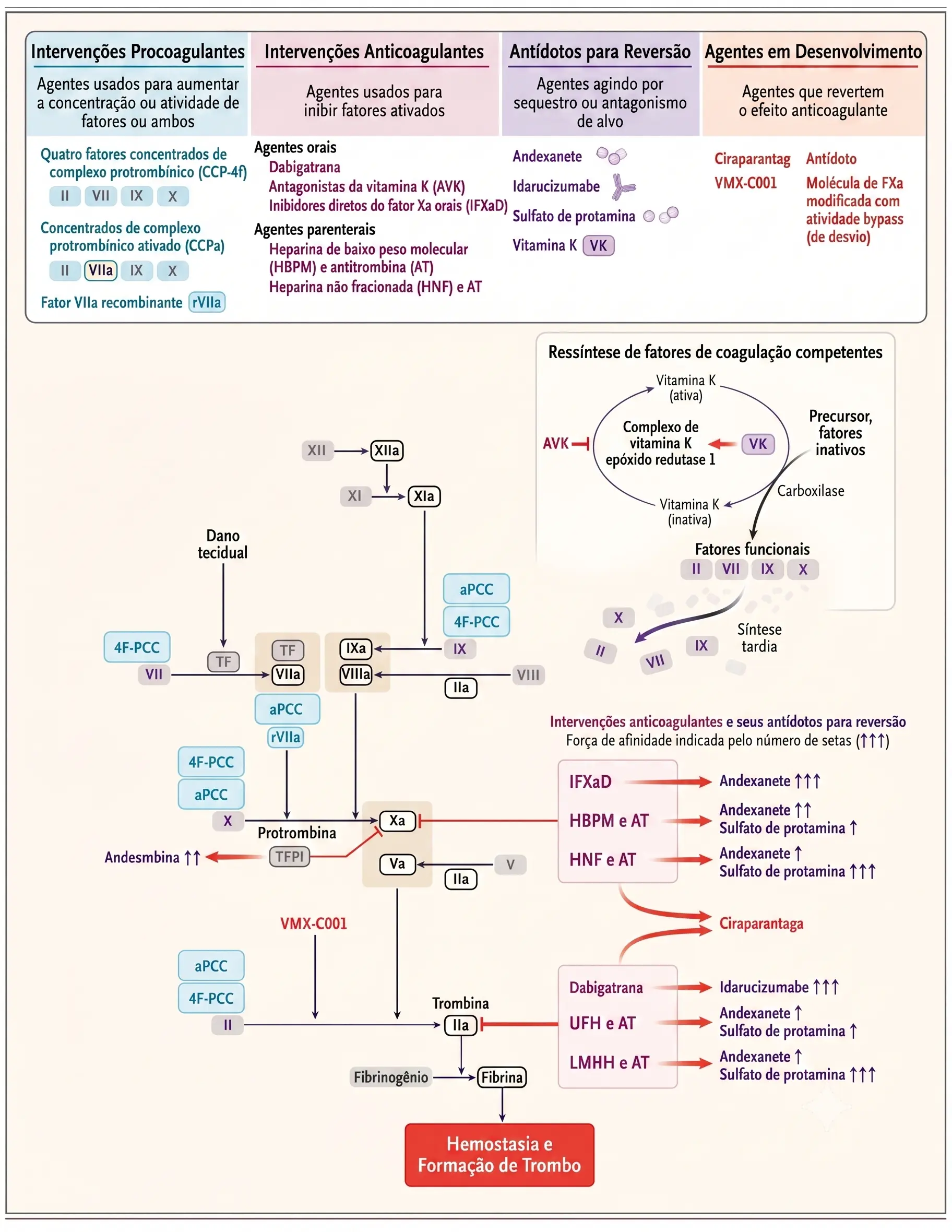 Infográfico — Parâmetros farmacocinéticos e doses dos antídotos específicos para anticoagulantes