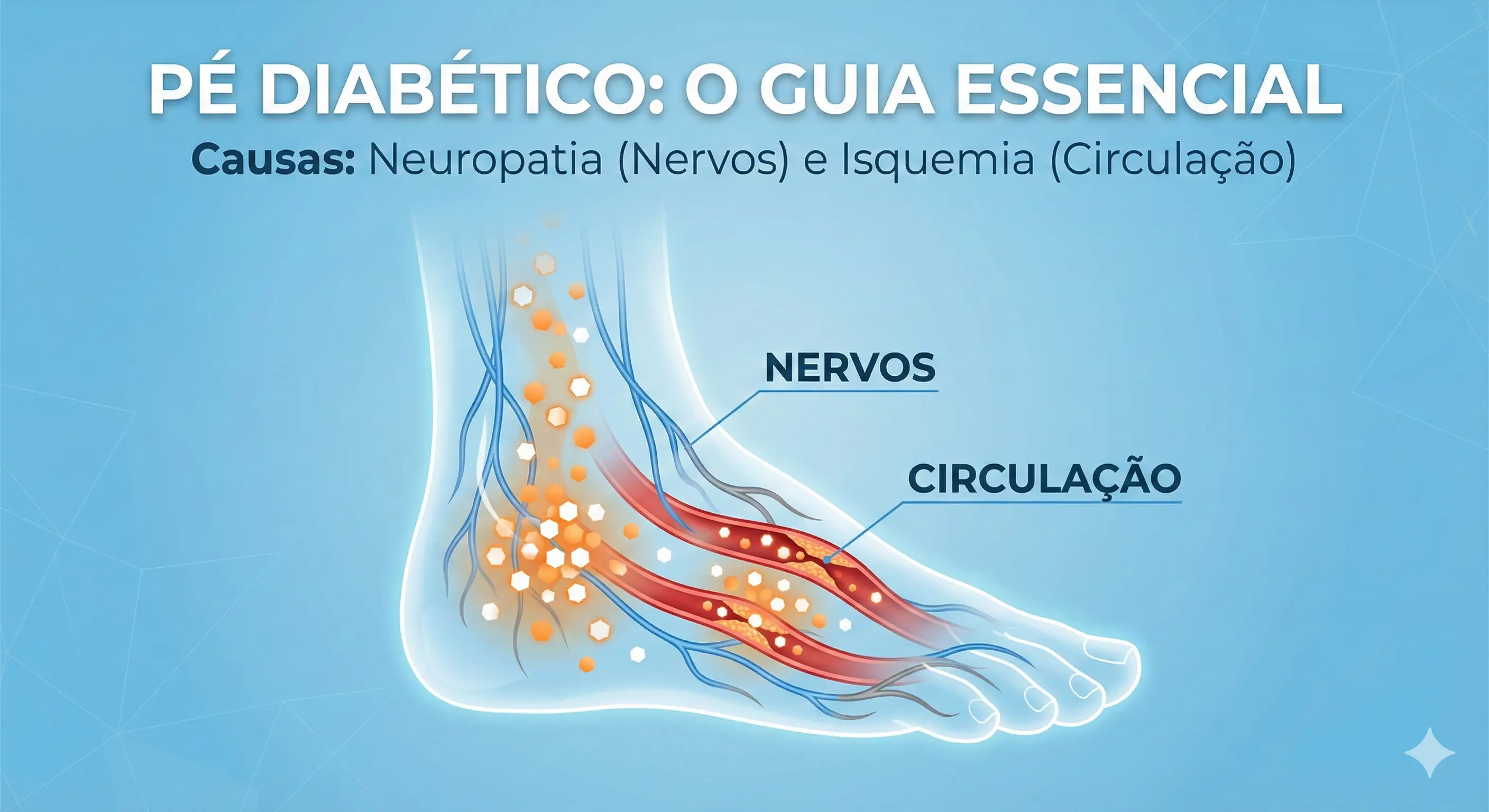 Anatomia do Pé Diabético: Nervos e Circulação