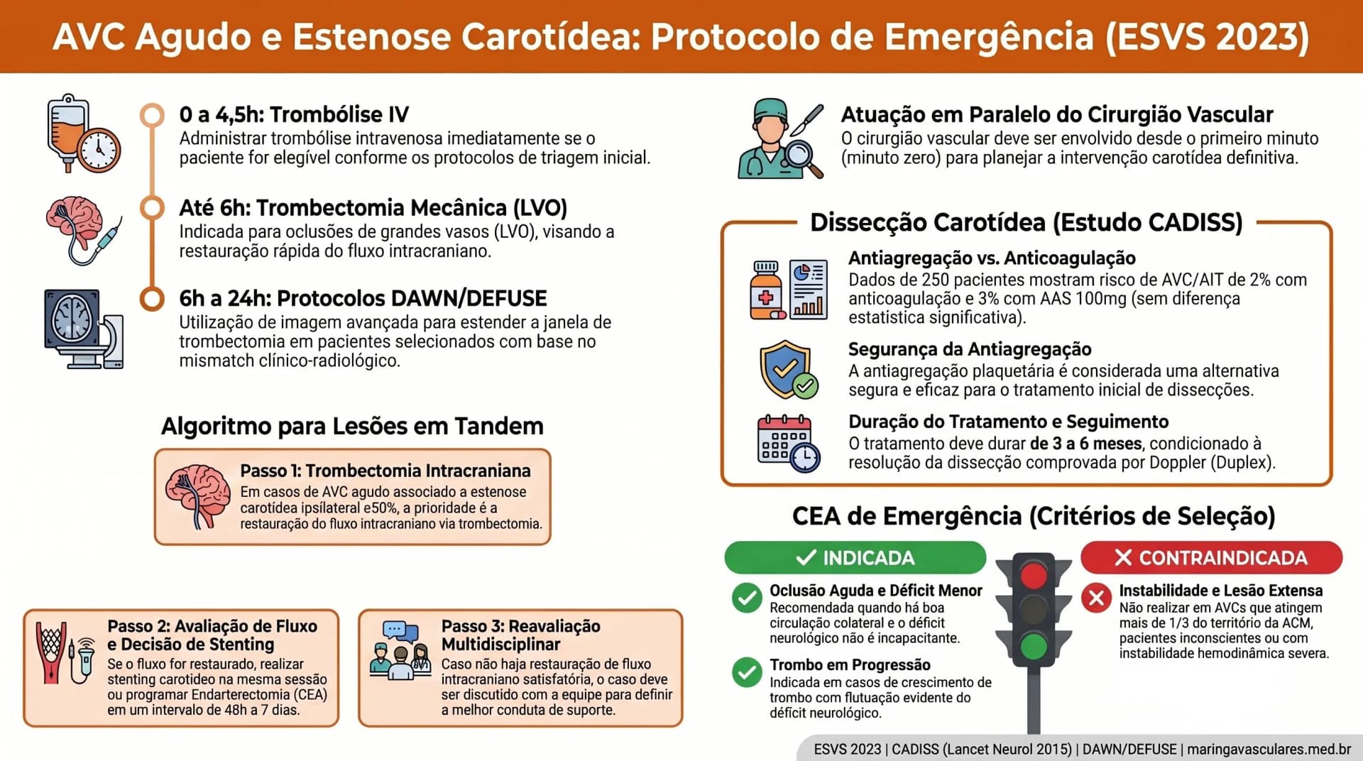 Infográfico: AVC agudo e emergência carotídea — tandem lesions, dissecção, CEA emergência — ESVS 2023