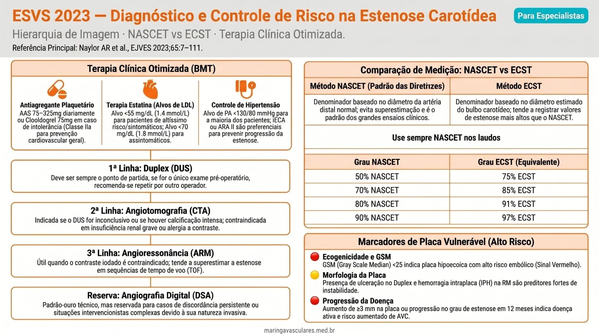 Infográfico: diagnóstico por imagem e controle de fatores de risco na estenose carotídea — ESVS 2023