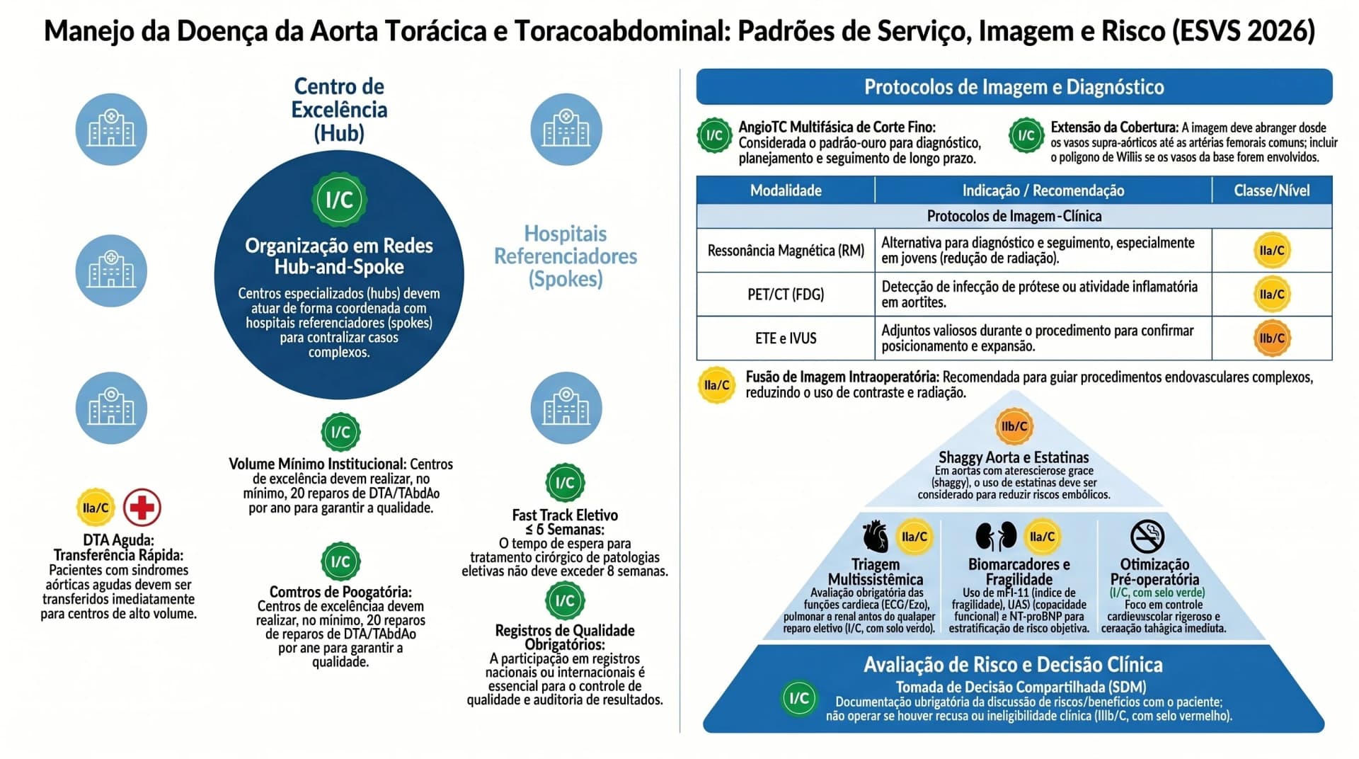 Infográfico ESVS 2026 — Padrões de Serviço, Imagem e Avaliação de Risco na DTA/TAAA