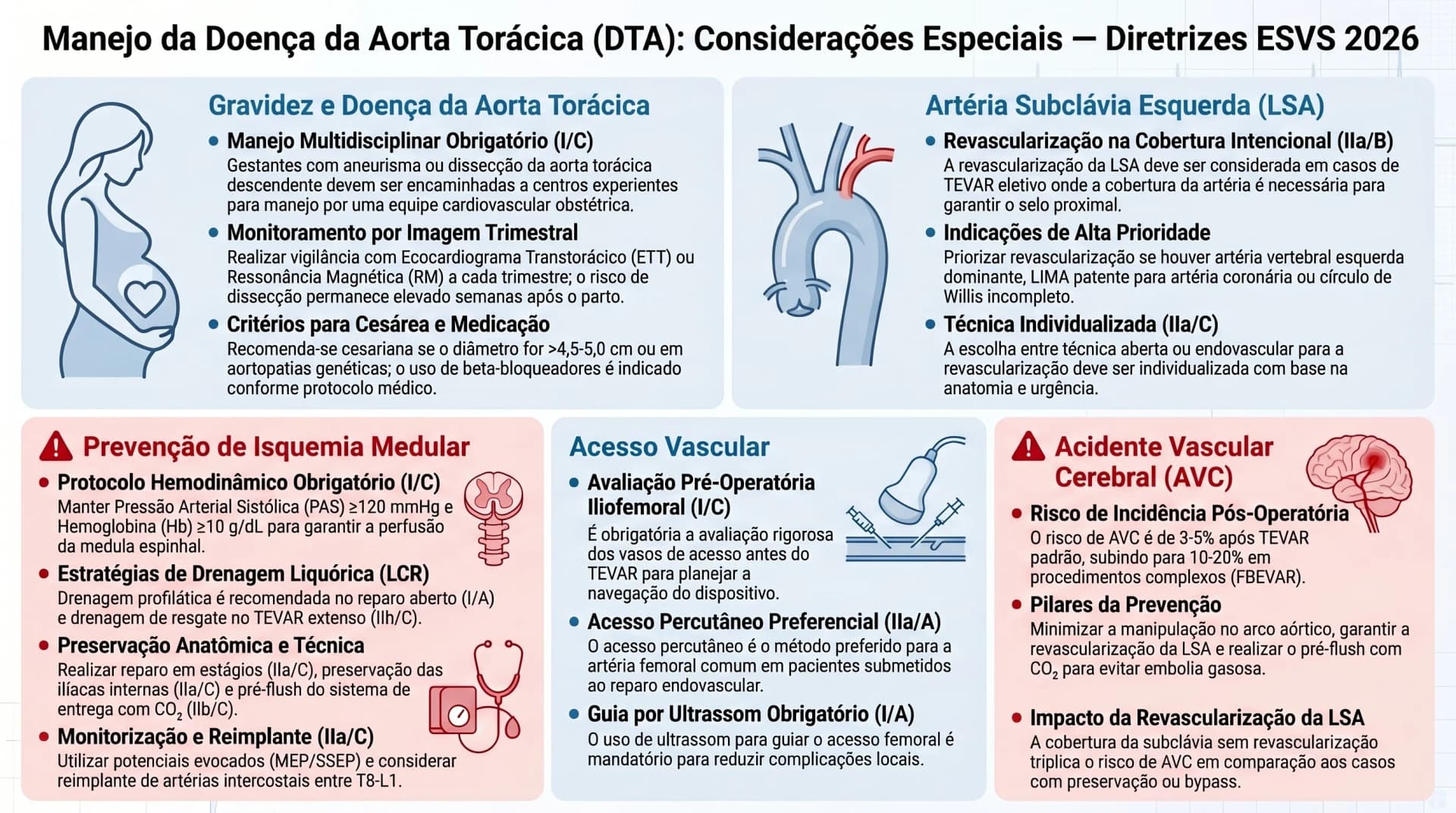 Infográfico ESVS 2026 — Gravidez, Subclávia, Isquemia Medular e Acesso Vascular