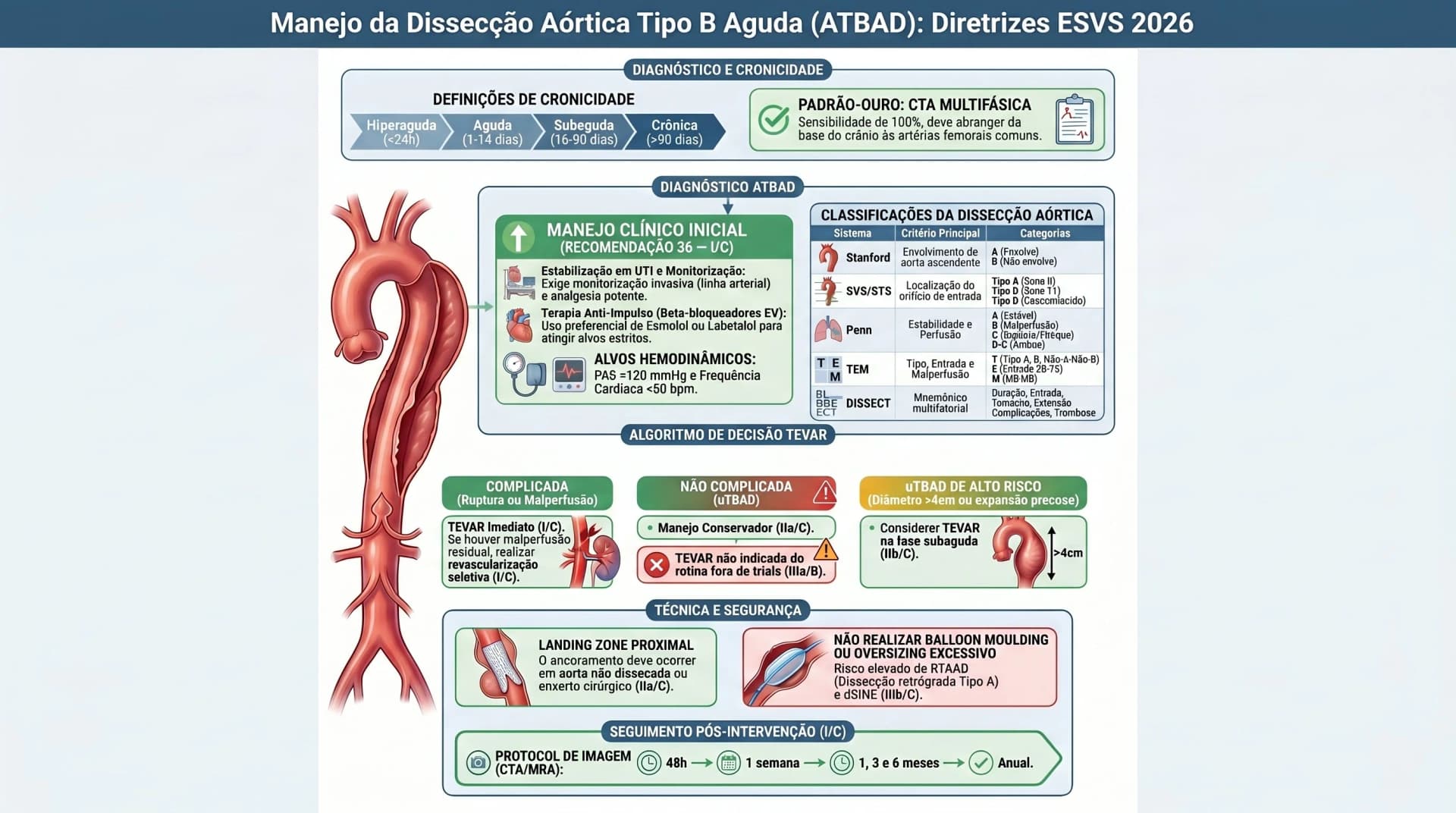 Infográfico ESVS 2026 — Dissecção Aórtica Tipo B Aguda: Diagnóstico, Clínico e TEVAR