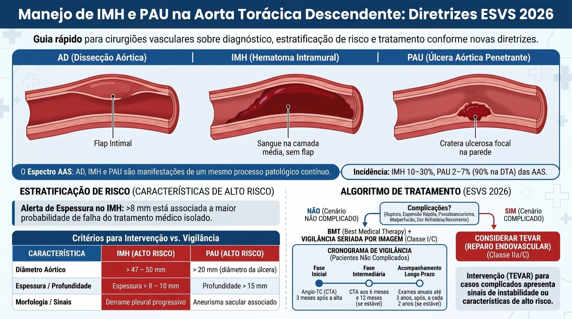 Infográfico ESVS 2026 — Hematoma Intramural e Úlcera Aórtica Penetrante