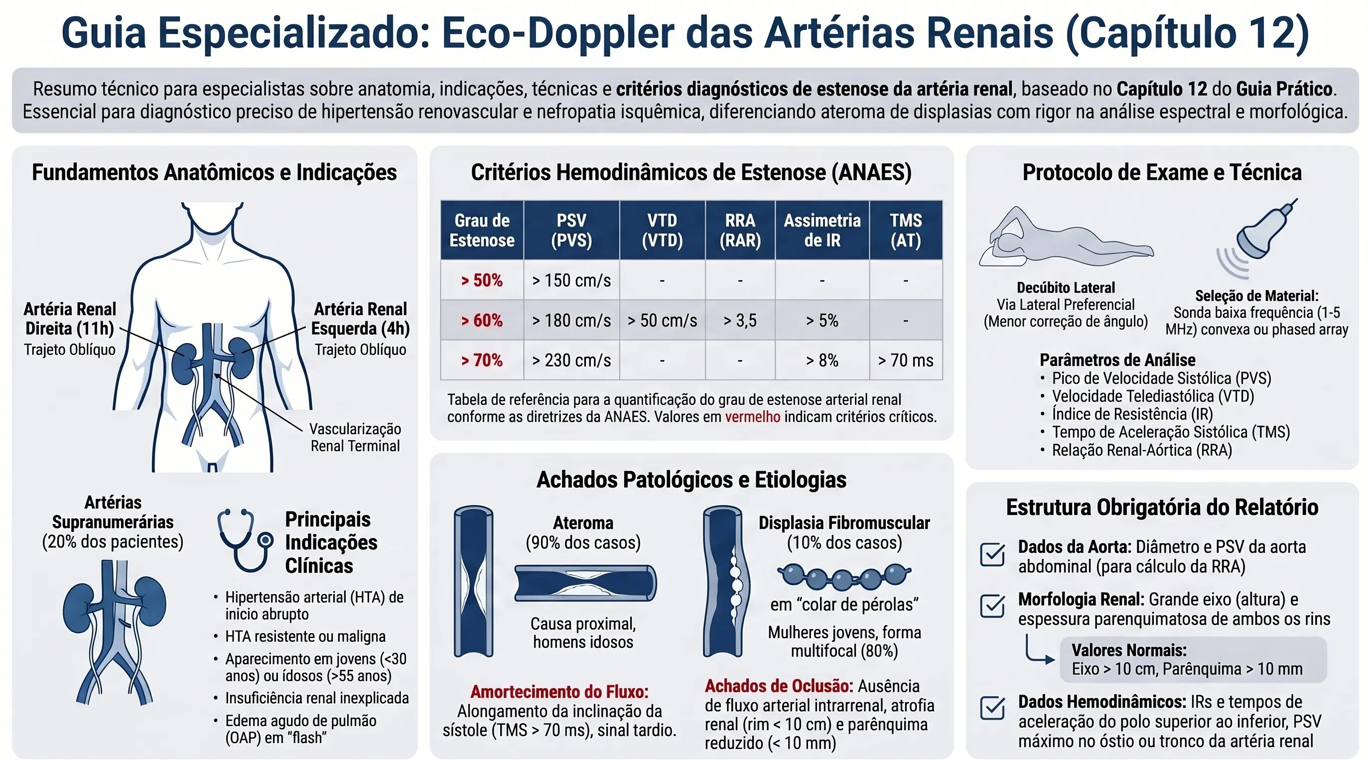 Infográfico: Guia Especializado de Eco-Doppler das Artérias Renais (Capítulo 12). Fundamentos anatômicos e indicações (artérias renais direita e esquerda, artérias supranumerárias, principais indicações clínicas), critérios hemodinâmicos de estenose ANAES (PSV, VTD, RRA, assimetria de IR, TMS), achados patológicos e etiologias (ateroma e displasia fibromuscular em colar de pérolas), protocolo de exame e técnica (decúbito lateral, seleção de material, parâmetros de análise) e estrutura obrigatória do relatório