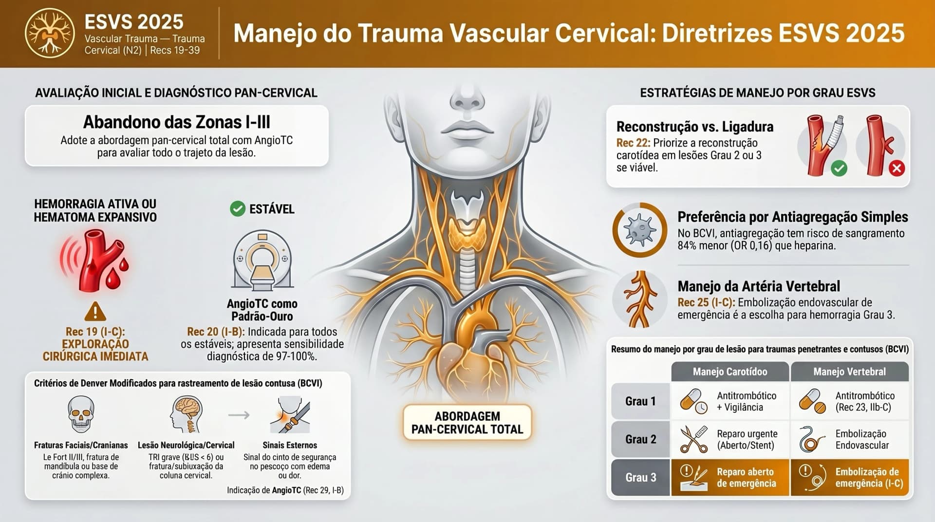 Infográfico ESVS 2025 — Trauma Vascular Cervical e do Pescoço