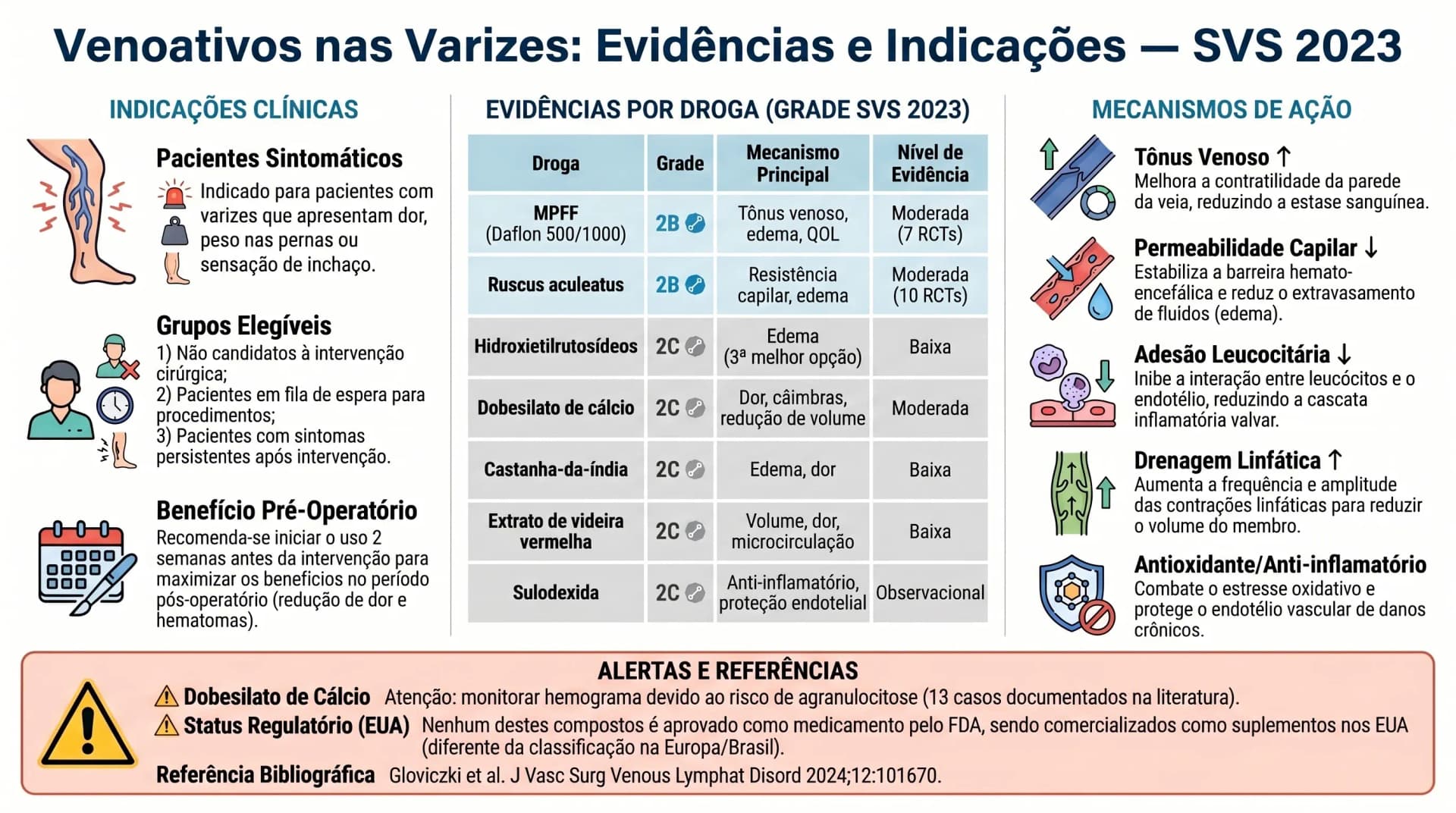 Infográfico: hierarquia de evidências dos venoativos em varizes conforme SVS 2023 — MPFF, Ruscus e Grade 2B/2C