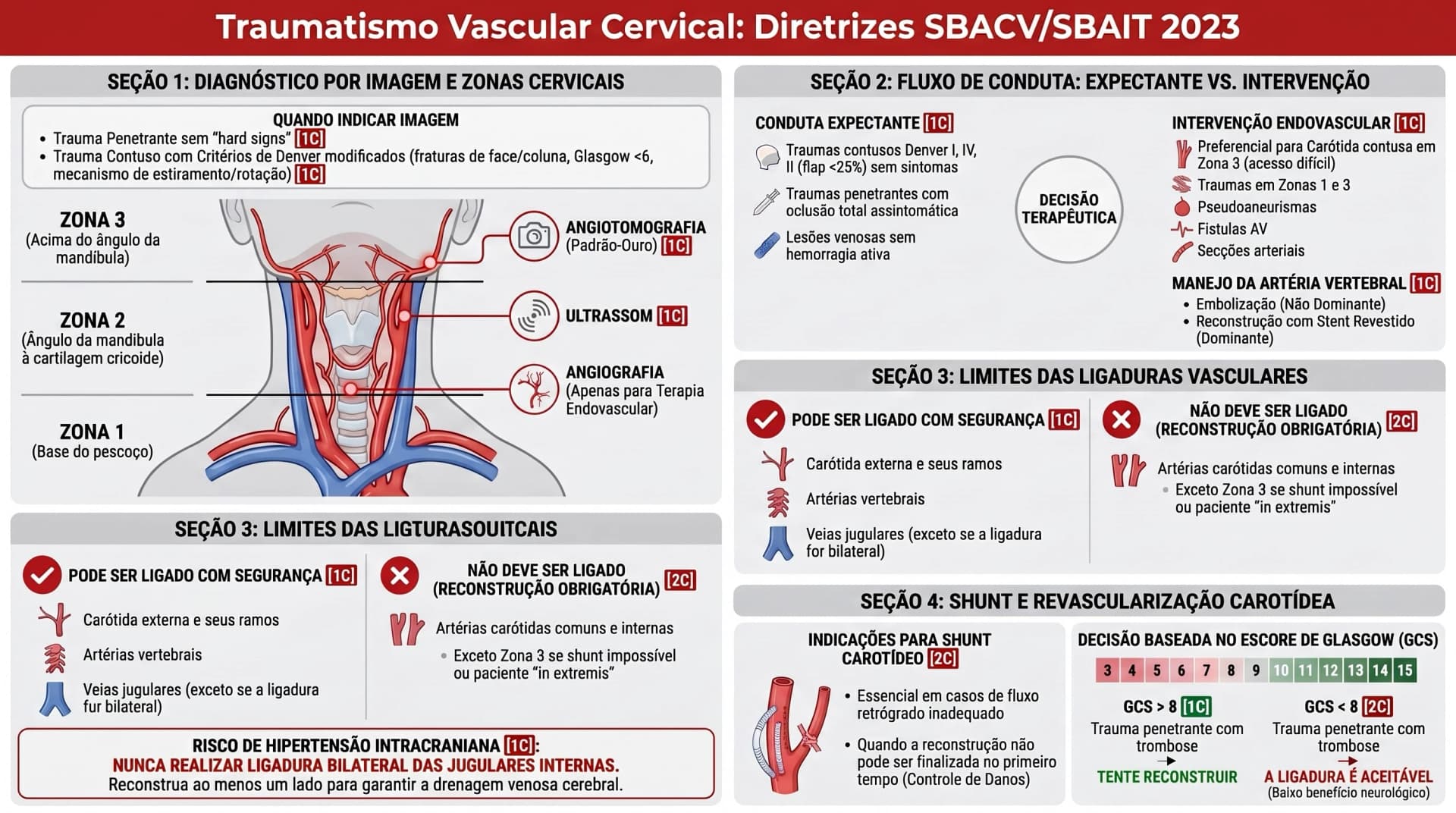 Infográfico SBACV/SBAIT 2023 — Trauma Vascular Cervical: Diagnóstico, Endovascular, Ligaduras e Shunt