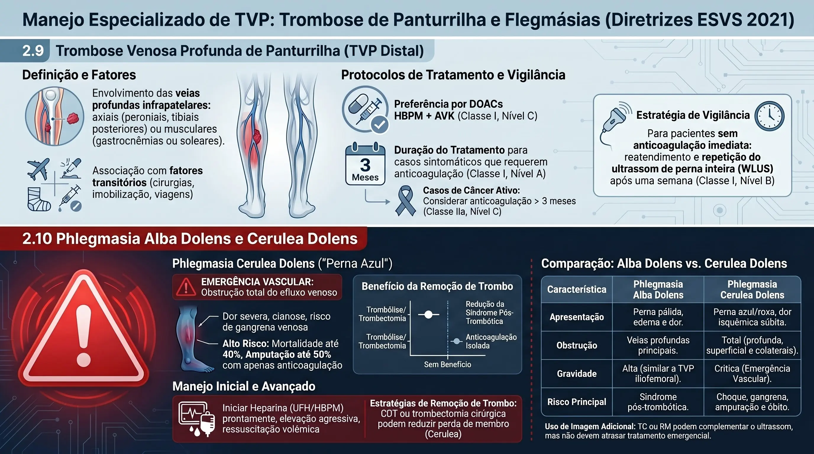 Infográfico: Phlegmasia Alba Dolens e Cerulea Dolens — Diretrizes ESVS 2021. Mostra a fisiopatologia da phlegmasia cerulea dolens (obstrução total do efluxo venoso por oclusão das veias femoral comum e ilíaca externa), os riscos da anticoagulação isolada (mortalidade até 40%, amputação até 50%), o benefício da remoção de trombo (trombólise/trombectomia reduzindo a síndrome pós-trombótica vs. anticoagulação isolada sem benefício comparável), a comparação entre phlegmasia alba dolens e cerulea dolens, e o manejo inicial e avançado (heparina, elevação, ressuscitação volêmica, CDT ou trombectomia cirúrgica).