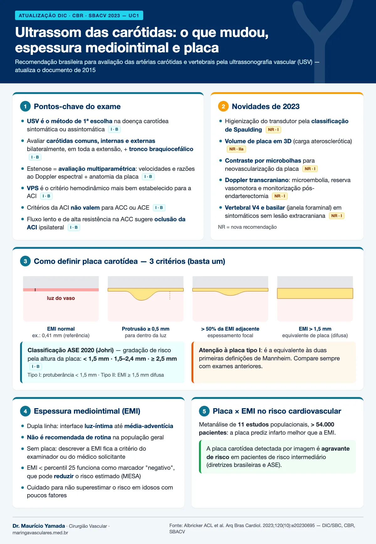 Infográfico: ultrassom das carótidas 2023 — pontos-chave, novidades, definição de placa e espessura mediointimal