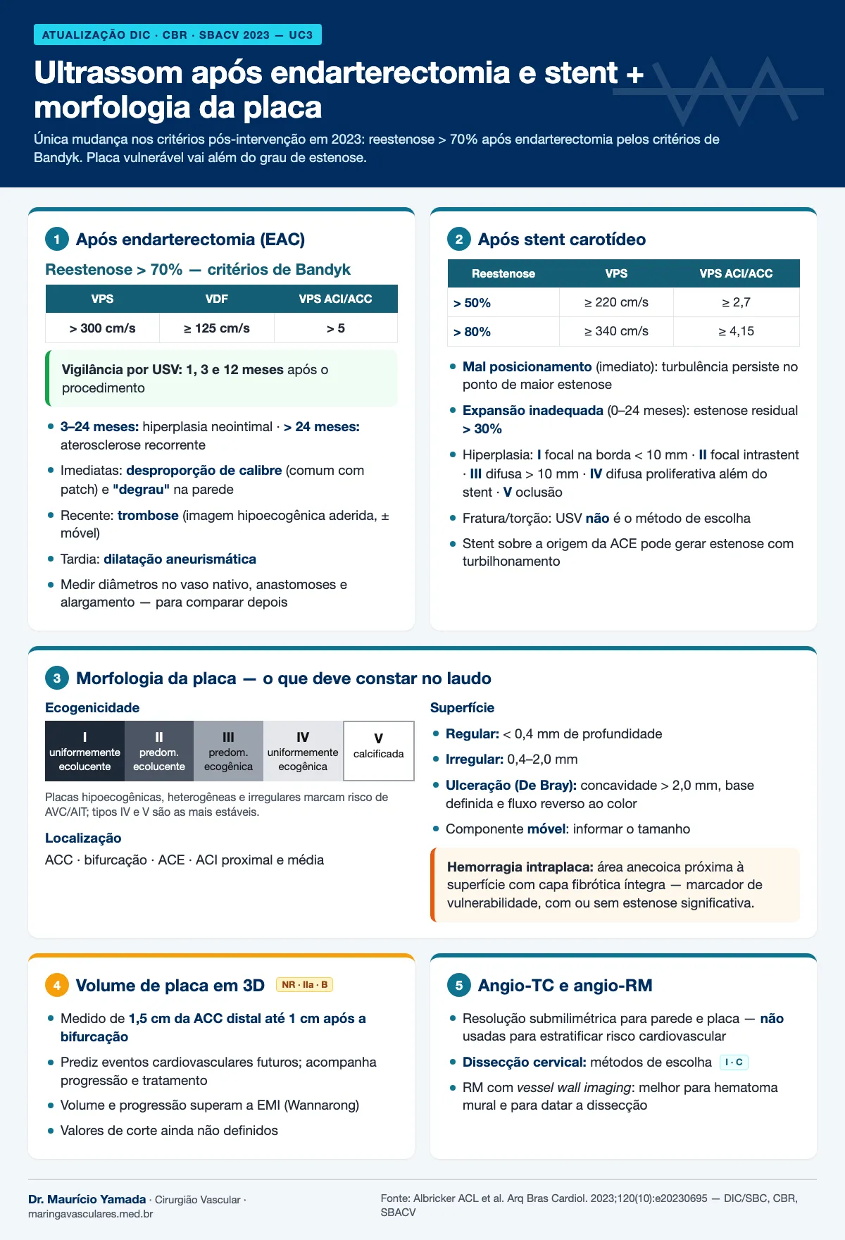 Infográfico: critérios pós-endarterectomia e pós-stent, morfologia da placa e volume 3D