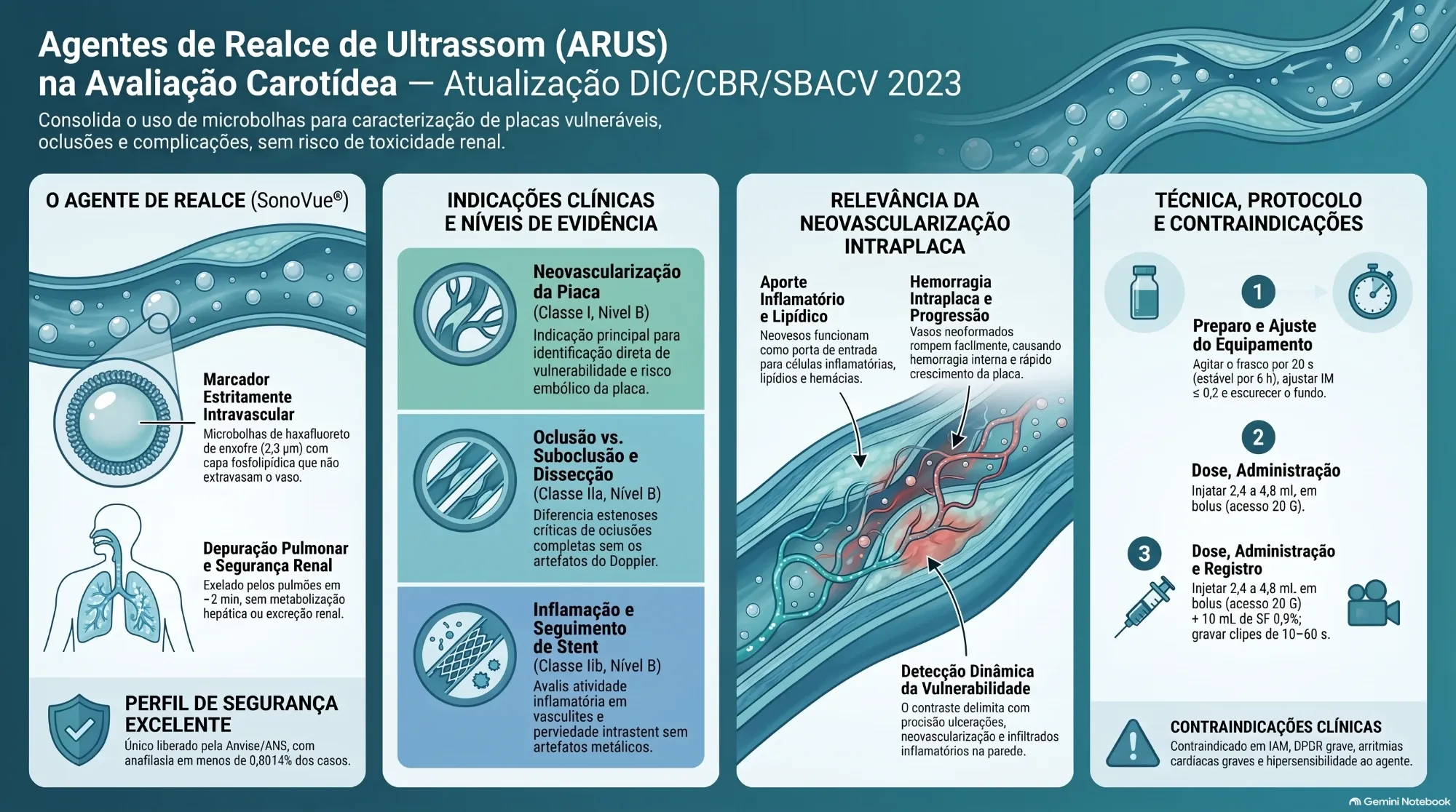 Infográfico resumo: agentes de realce de ultrassom na avaliação carotídea