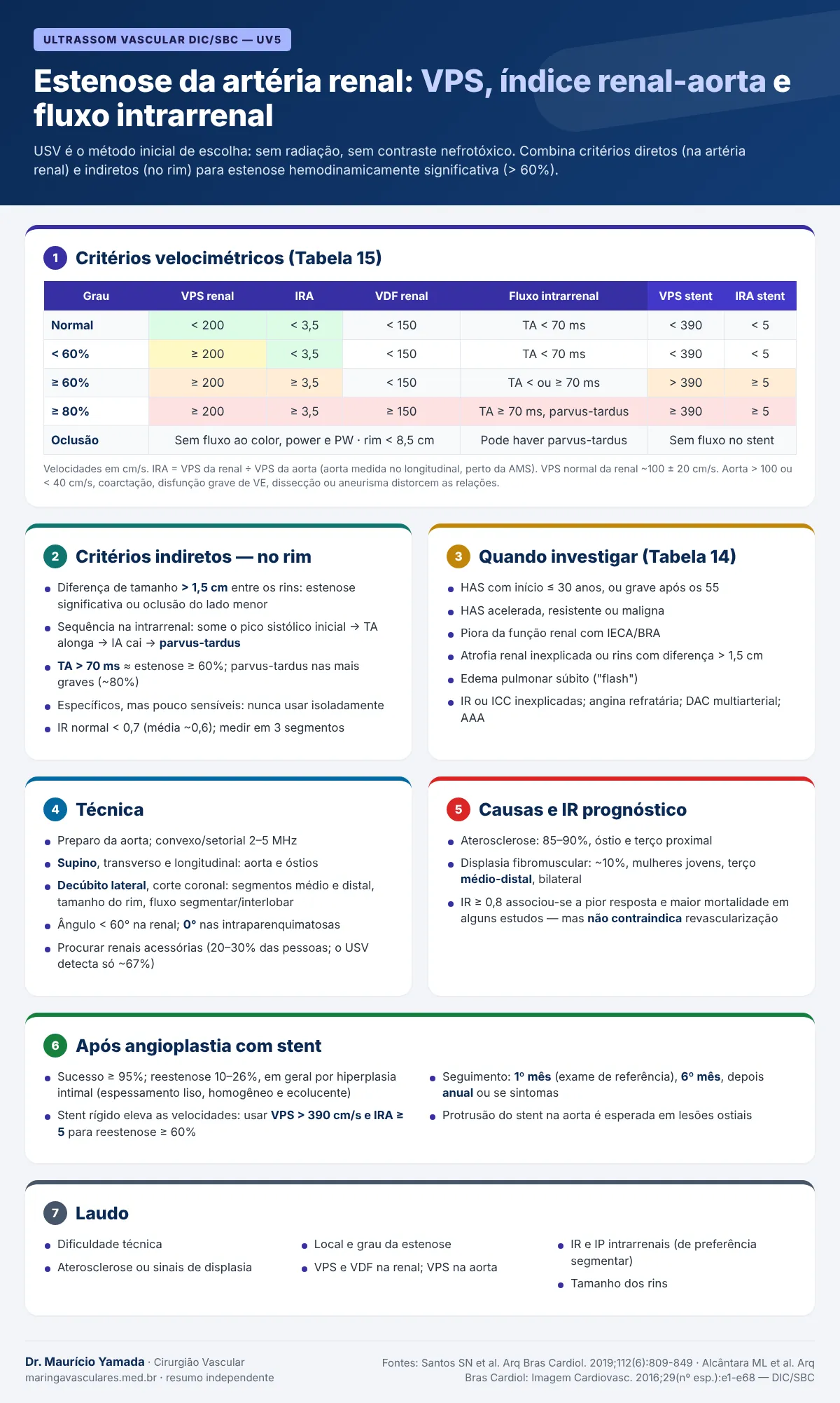 Infográfico: critérios velocimétricos da Tabela 15, critérios indiretos, indicações, técnica, causas, seguimento após stent e laudo das artérias renais