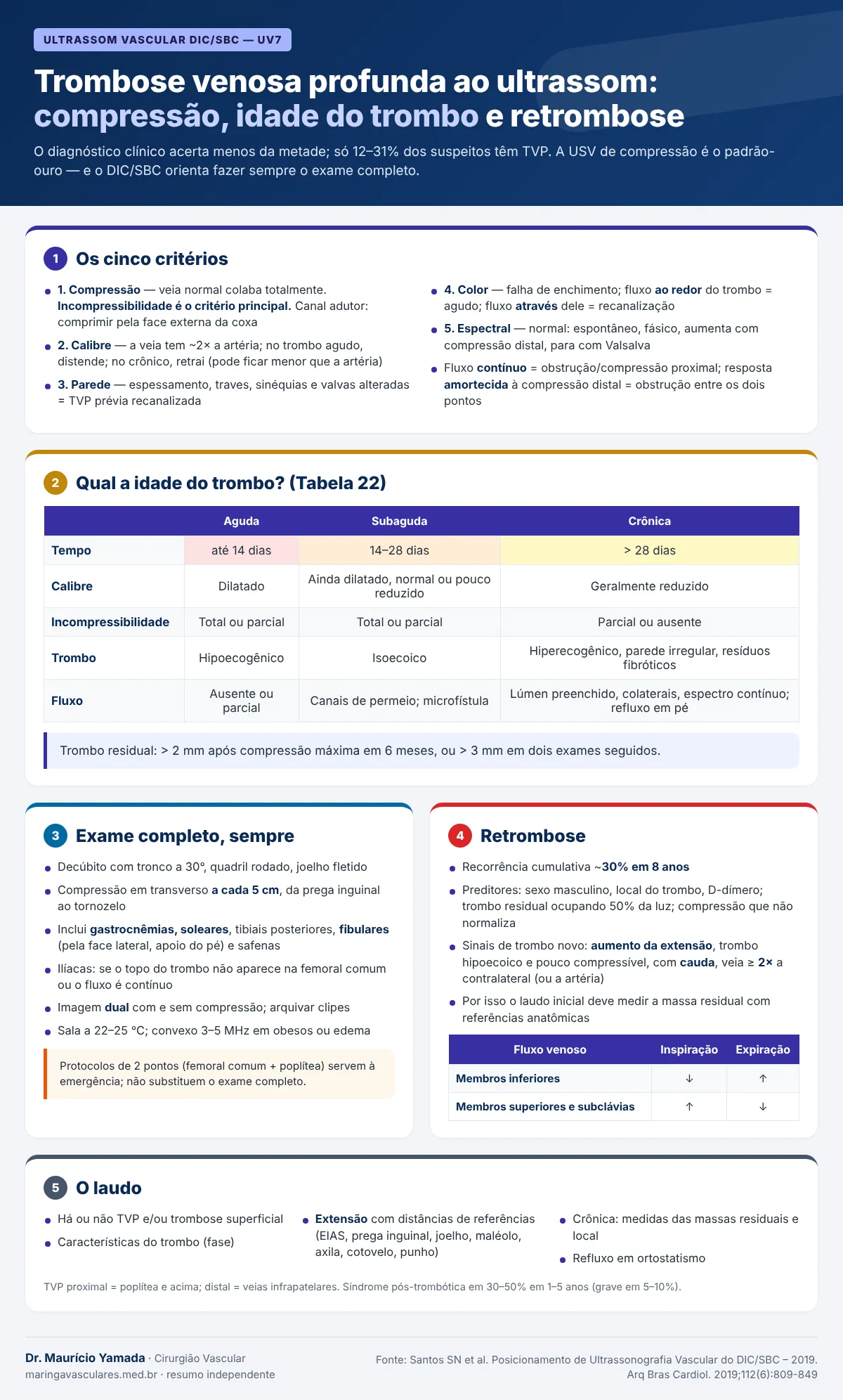Infográfico: cinco critérios da TVP ao ultrassom, fases do trombo, exame completo, retrombose e laudo
